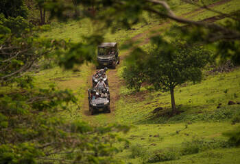 bel ombre nature reserve, quad, mauritius, activities, south
