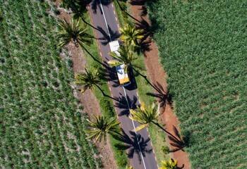bel ombre nature reserve, bay2bay tour, mauritius