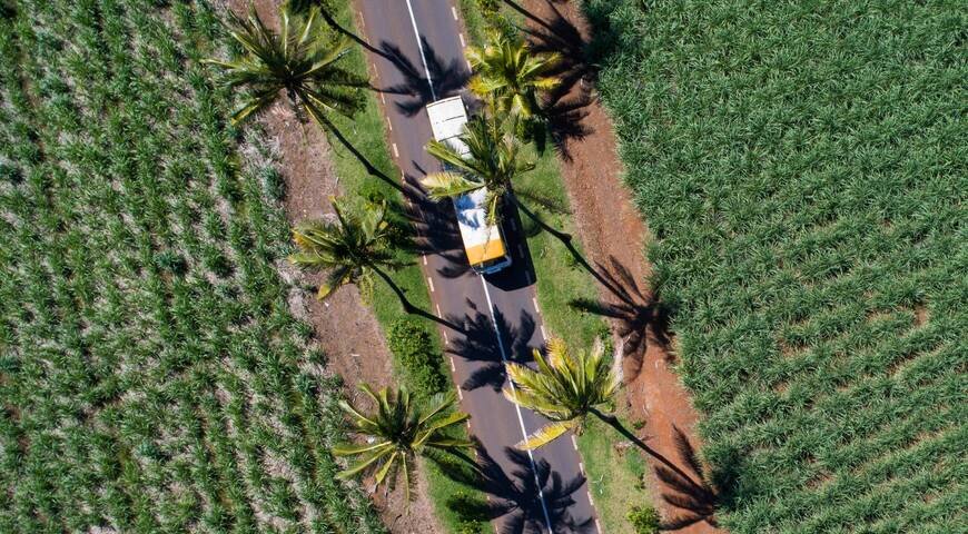 bel ombre nature reserve, bay2bay tour, mauritius